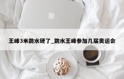 王峰3米跳水硬了_跳水王峰参加几届奥运会