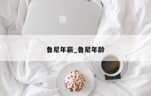 鲁尼年薪_鲁尼年龄