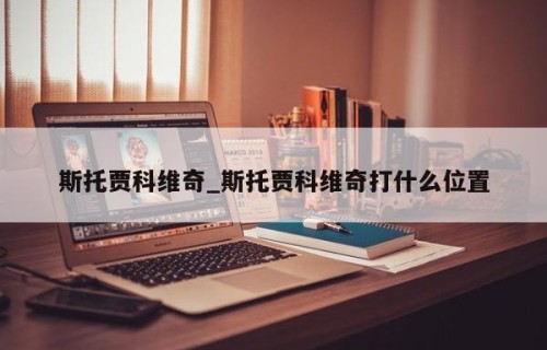 斯托贾科维奇_斯托贾科维奇打什么位置