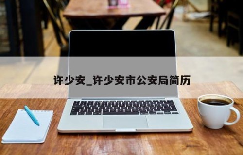 许少安_许少安市公安局简历