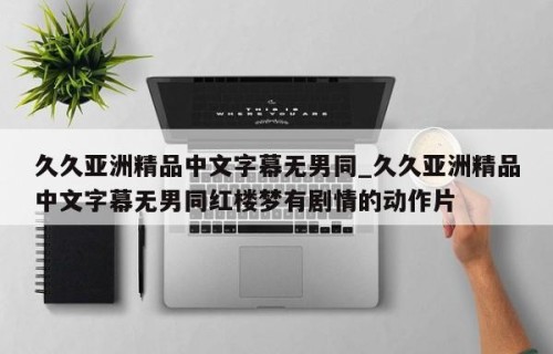 久久亚洲精品中文字幕无男同_久久亚洲精品中文字幕无男同红楼梦有剧情的动作片