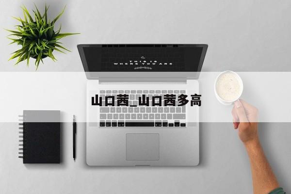 山口茜_山口茜多高