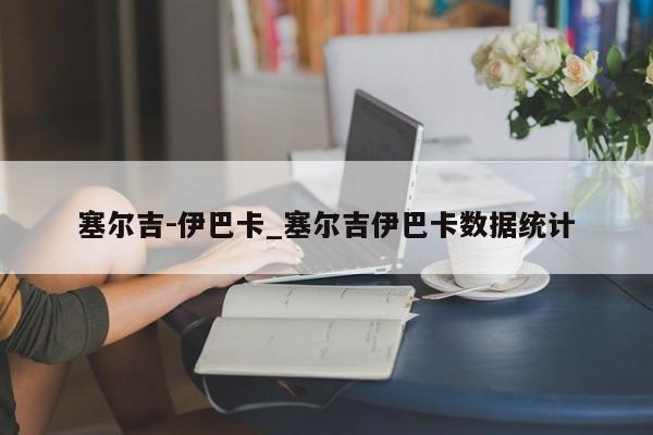 塞尔吉-伊巴卡_塞尔吉伊巴卡数据统计