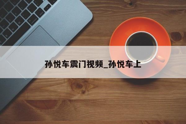 孙悦车震门视频_孙悦车上