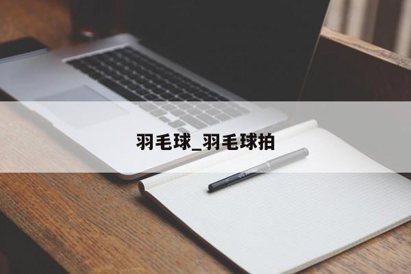 羽毛球_羽毛球拍