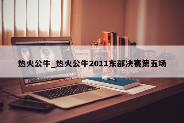 热火公牛_热火公牛2011东部决赛第五场